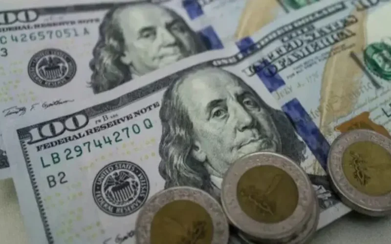 تحديث مباشر سعر الدولار في تعاملات الأحد 18 يناير 2026